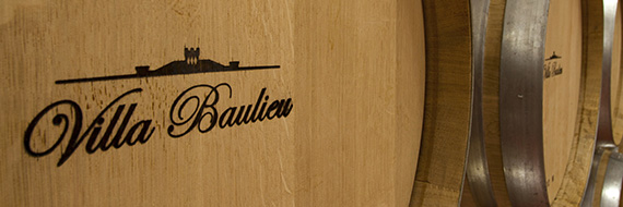 Discover the vines of Domaine Villa Baulieu